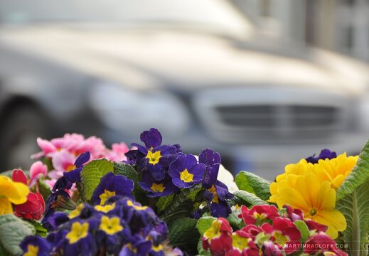 MARASIGN 090404a0153 brb 3668798771 o