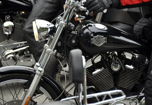 MARASIGN 1005091120451 4596371808 o