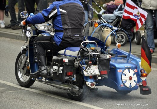 MARASIGN 1005091121391 4595759481 o