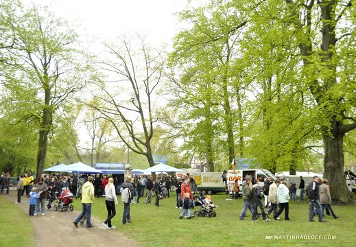 MARASIGN 1005091137371 4595782799 o