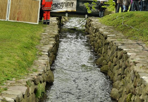 MARASIGN 1005091425351 4595819693 o